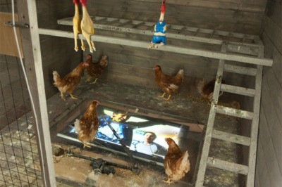 Креативный курятник