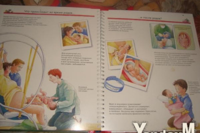 Откровенные вопросы