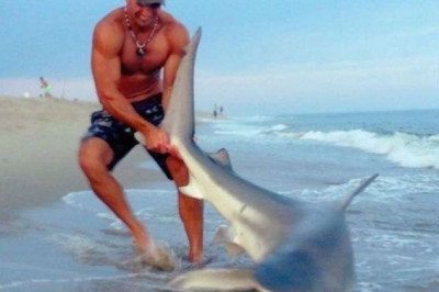 Русские туристы на отдыхе