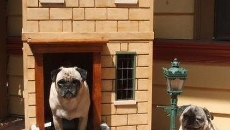 Будка для питомца