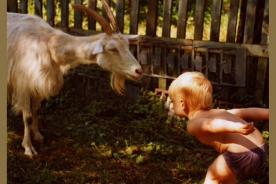 Надежная защита для папы