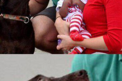 Смешные надписи в картинках 