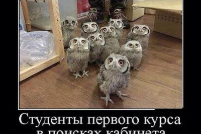 Студентам посвящается