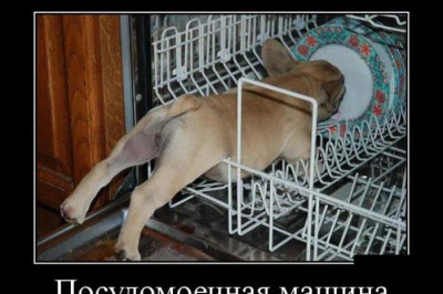 Тайна раскрыта