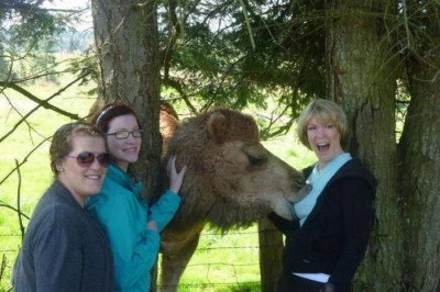 Веселые картинки с животными 