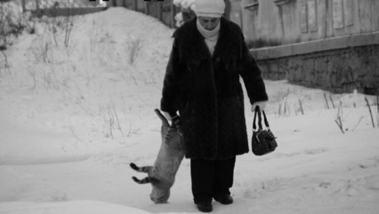 Барсик нагулялся