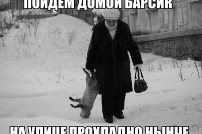 Барсик нагулялся