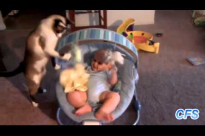 Как котики любят малышей 