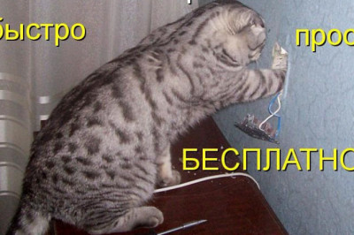 Кот электрик