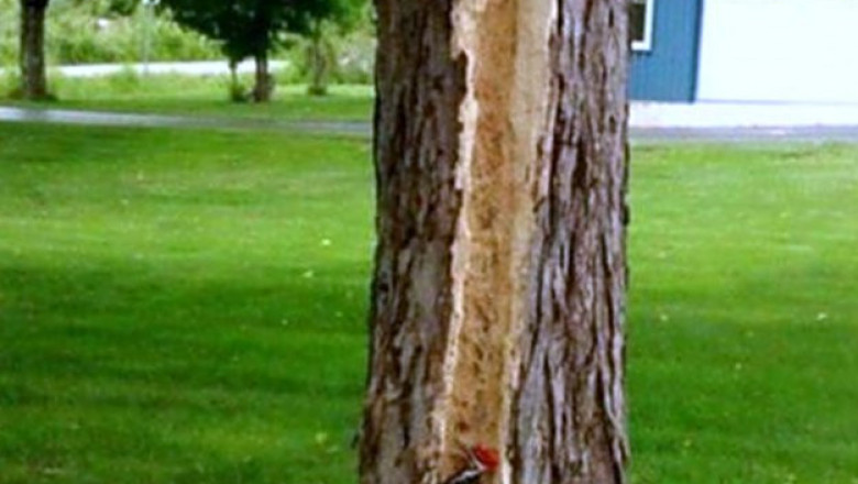 Немного увлекся