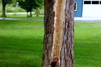 Немного увлекся