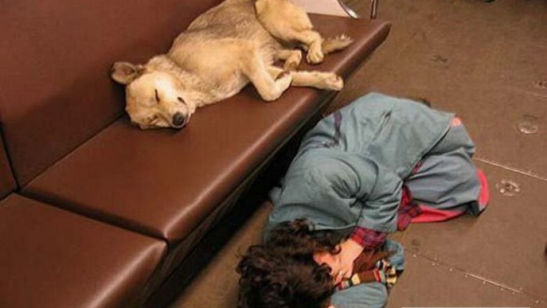 Необычные пассажиры