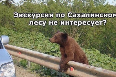 Услуги экскурсовода