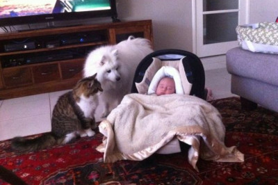 Закончилась сладкая жизнь