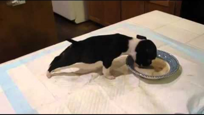 Гироскоп сломался