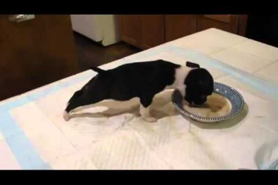 Гироскоп сломался