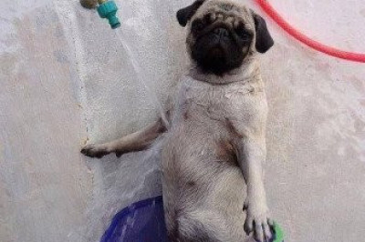 День был жарким