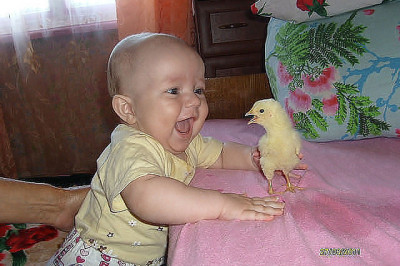 Радость и удивление