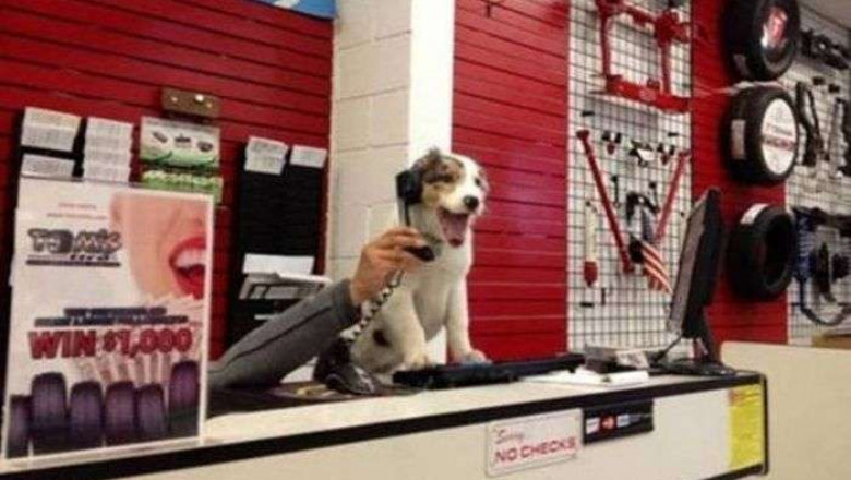 Развлекаются на работе