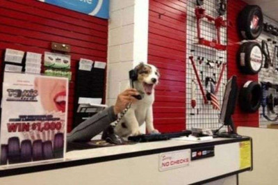 Развлекаются на работе