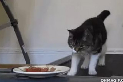 Совместный ужин