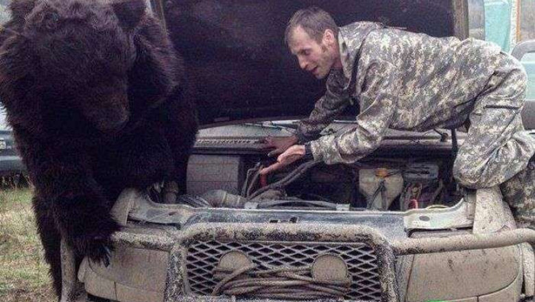 Автомобильная тема