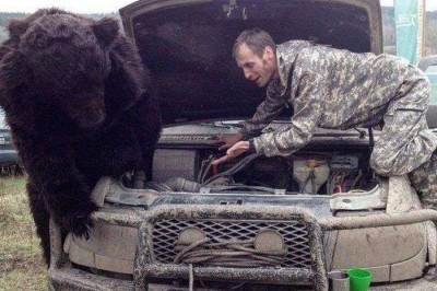 Автомобильная тема