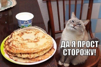 Сторож блинов