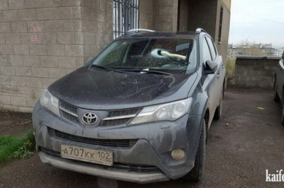 Утро было не добрым