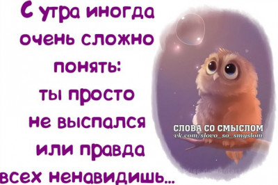 В ожидании предстоящих праздников и Весны 