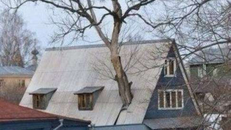 Береги природу