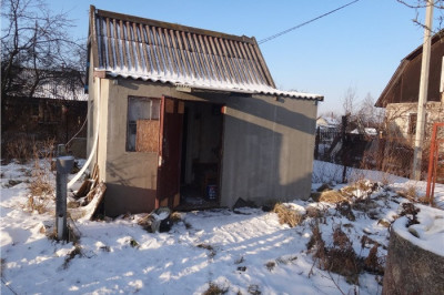 Дачный подкидыш