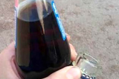 Курьезы дня