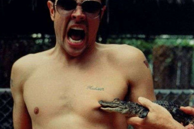 Любители экстрима