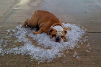 Реальная жарища !