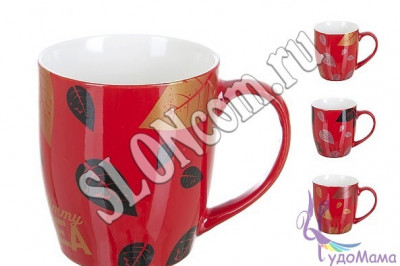 Сошлись во мнении