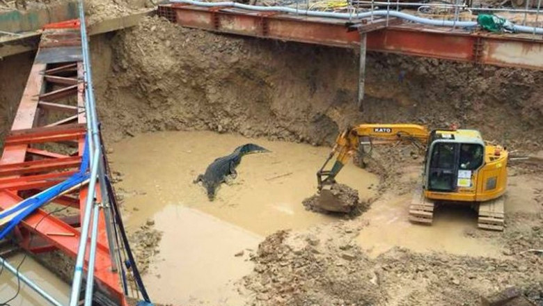 Своя атмосфера 