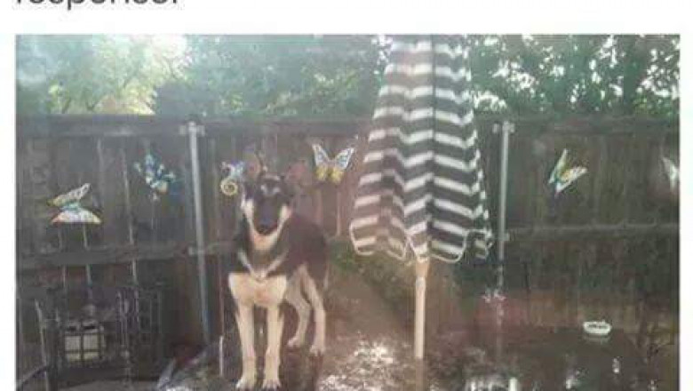 Вот оно - неповиновение 