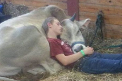 Всяко - разное 