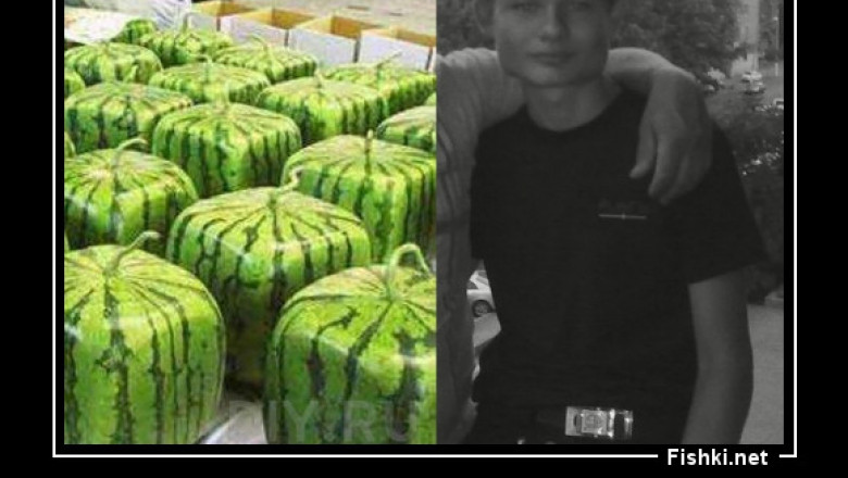 Чудеса генной инженерии