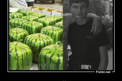 Чудеса генной инженерии