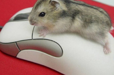 Мышки с электронной начинкой