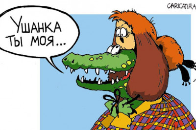 Прорва с большими ушами