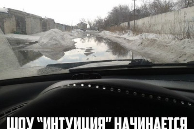 Шоу интуиция