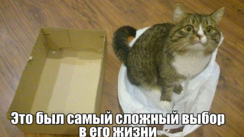 Трудный выбор