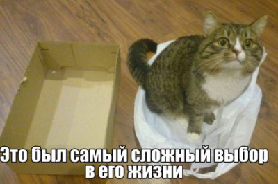 Трудный выбор