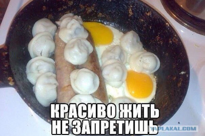 Живут на широкую ногу