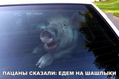 Едем на шашлык