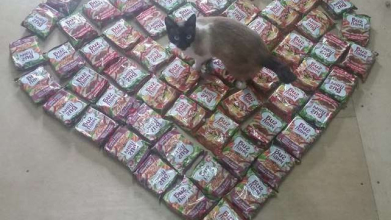 Подарок для кошки