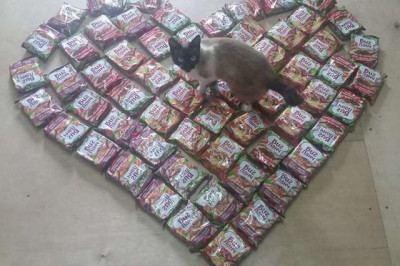 Подарок для кошки